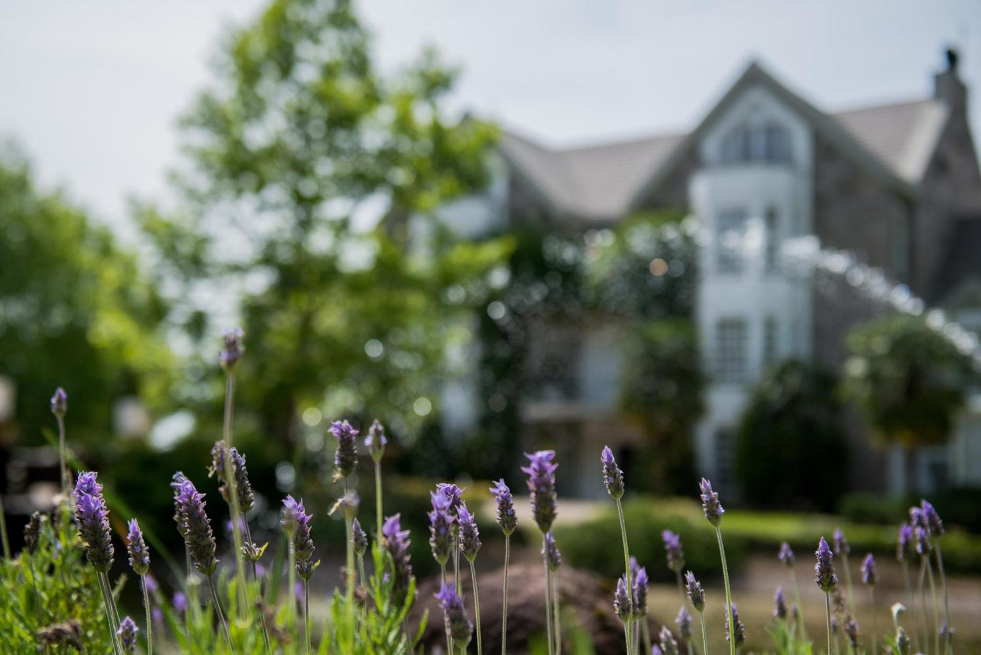 Castelo Saint Andrews Hotel กรามาโด ภายนอก รูปภาพ